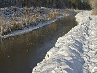 NL, Noord-Brabant, Boxtel, Kampina, Heiloop 7, Saxifraga-Jan van der Straaten