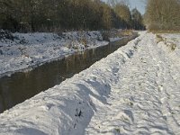 NL, Noord-Brabant, Boxtel, Kampina, Heiloop 8, Saxifraga-Jan van der Straaten