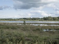 NL, Noord-Brabant, Boxtel, Kampina, Huisvennen 8, Saxifraga-Willem van Kruijsbergen