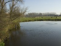 NL, Noord-Brabant, Boxtel, Kasteren, Dommel 5, Saxifraga-Jan van der Straaten