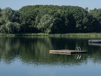 NL, Noord-Brabant, Boxtel, Langspier 5, Saxifraga-Jan van der Straaten