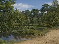 NL, Noord-Brabant, Boxtel, Palingven 7, Saxifraga-Jan van der Straaten