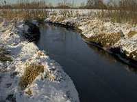 NL, Noord-Brabant, Boxtel, Smalwater 12, Saxifraga-Jan van der Straaten