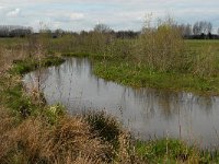 NL, Noord-Brabant, Boxtel, Smalwater 3, Saxifraga-Jan van der Straaten