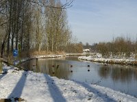 NL, Noord-Brabant, Eindhoven, Bokt, Kleine Dommel 11, Saxifraga-Marijke Verhagen