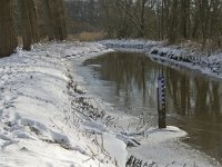 NL, Noord-Brabant, Eindhoven, Collse Molen 4, Saxifraga-Marijke Verhagen