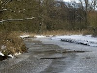 NL, Noord-Brabant, Eindhoven, Collse Zeggen, Kleine Dommel 3, Saxifraga-Jan van der Straaten