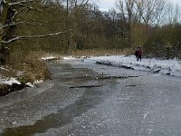 NL, Noord-Brabant, Eindhoven, Collse Zeggen, Kleine Dommel 4, Saxifraga-Jan van der Straaten