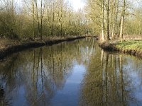 NL, Noord-Brabant, Eindhoven, De Bogten, Dommel 12, Saxifraga-Jan van der Straaten