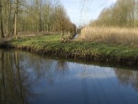 NL, Noord-Brabant, Eindhoven, De Bogten, Dommel 2, Saxifraga-Jan van der Straaten