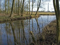 NL, Noord-Brabant, Eindhoven, De Bogten, Dommel 3, Saxifraga-Jan van der Straaten