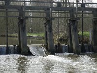 NL, Noord-Brabant, Eindhoven, Genneper Watermolen 1, Saxifraga-Jan van der Straaten