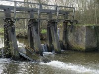 NL, Noord-Brabant, Eindhoven, Genneper Watermolen 3, Saxifraga-Jan van der Straaten