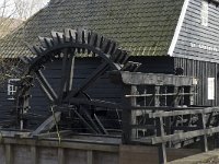 NL, Noord-Brabant, Eindhoven, Genneper Watermolen 3, Saxifraga-Marijke Verhagen