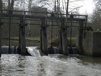 NL, Noord-Brabant, Eindhoven, Genneper Watermolen 8, Saxifraga-Jan van der Straaten