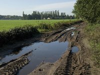 NL, Noord-Brabant, Goirle, Breehees 2, Saxifraga-Jan van der Straaten