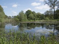 NL, Noord-Brabant, Goirle, Landgoed De Hoevens 101, Saxifraga-Willem van Kruijsbergen