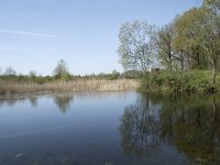 NL, Noord-Brabant, Goirle, Landgoed De Hoevens 14, Saxifraga-Willem van Kruijsbergen