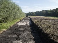 NL, Noord-Brabant, Goirle, Landgoed De Hoevens 90, Saxifraga-Willem van Kruijsbergen