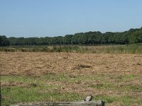 NL, Noord-Brabant, Goirle, Poppelsche Leij 4, Saxifraga-Willem van Kruijsbergen