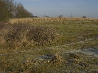 NL, Noord-Brabant, Goirle, Regte Heide 2, Saxifraga-Jan van der Straaten