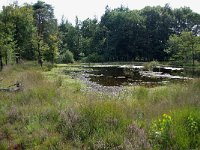 NL, Noord-Brabant, Goirle, Regte Heide 45, Saxifraga-Lucien Rommelaars