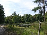 NL, Noord-Brabant, Goirle, Regte Heide 52, Saxifraga-Lucien Rommelaars