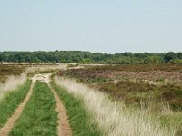 NL, Noord-Brabant, Goirle, Regte Heide 57, Saxifraga-Willem van Kruijsbergen