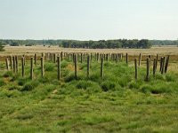 NL, Noord-Brabant, Goirle, Regte Heide, tumulus 6, Saxifraga-Willem van Kruijsbergen