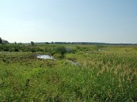 NL, Noord-Brabant, Goirle, Riels Laag 3, Saxifraga-Willem van Kruijsbergen