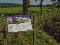 NL, Noord-Brabant, Hilvarenbeek, Biestse Gemeynt 3, Saxifraga-Jan van der Straaten