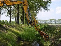 NL, Noord-Brabant, Hilvarenbeek, Diessens Broek 1, Saxifraga-Tom Heijnen