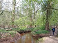 NL, Noord-Brabant, Hilvarenbeek, Reusel in De Hertgang 11, Saxifraga-Tom Heijnen