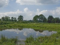 NL, Noord-Brabant, Hilvarenbeek, Spruitenstroompje 31, Saxifraga-Jan van der Straaten