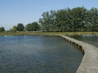 NL, Noord-Brabant, Loon op Zand, Huis ter Heide 17, Saxifraga-Willem van Kruijsbergen