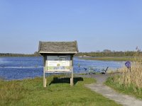 NL, Noord-Brabant, Reusel-De Mierden, Beleven 1, Saxifraga-Tom Heijnen