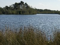 NL, Noord-Brabant, Reusel-De Mierden, De Flaes 1, Saxifraga-Jan van der Straaten