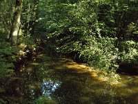 NL, Noord-Brabant, Reusel-De Mierden, De Utrecht, Reusel 4, Saxifraga-Jan van der Straaten