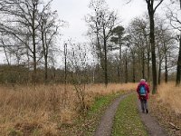 NL, Noord-Brabant, Reusel-De Mierden, Landgoed Wellenseind 1, Saxifraga-Tom Heijnen