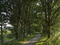 NL, Noord-Brabant, Sint-Michielsgestel, Keerdijk Den Dungen 5, Saxifraga-Jan van der Straaten