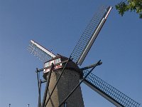 NL, Noord-Brabant, Sint-Michielsgestel, Molen Maaskantje 2, Saxifraga-Jan van der Straaten