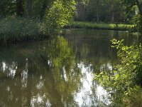 NL, Noord-Brabant, Sint-Michielsgestel, Zegenworp 4, Saxifraga-Jan van der Straaten