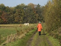 NL, Noord-Brabant, Sint-Michielsgestel, de Pettelaar 7, Saxifraga-Jan van der Straaten