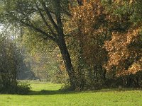 NL, Noord-Brabant, Sint-Michielsgestel, de Pettelaar 9, Saxifraga-Jan van der Straaten