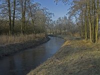 NL, Noord-Brabant, Someren, Peelrijt 2, Saxifraga-Marijke Verhagen