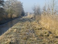 NL, Noord-Brabant, Someren, Peelrijt 4, Saxifraga-Marijke Verhagen