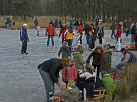 NL, Noord-Brabant, Someren, Witven 3, Saxifraga-Jan van der Straaten