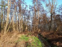 NL, Noord-Brabant, Son en Breugel, Breugelse Beemden 1, Saxifraga-Tom Heijnen