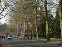 NL, Noord-Brabant, Tilburg, Bredaseweg 2, Saxifraga-Jan van der Straaten