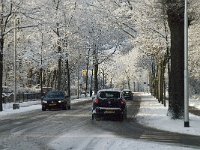 NL, Noord-Brabant, Tilburg, Bredaseweg 3, Saxifraga-Jan van der Straaten